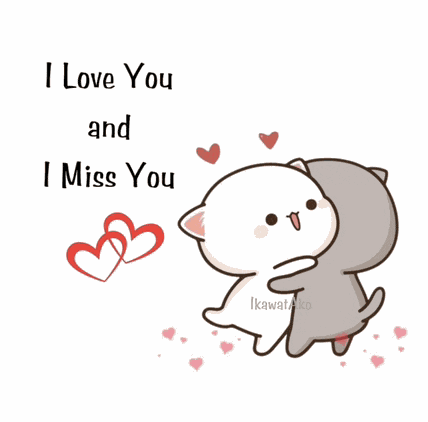 I Love You Miss You Meme