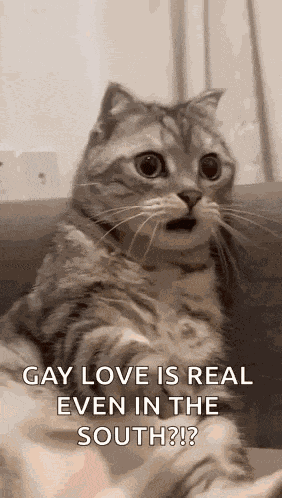 I Love You So Much Cute GIF