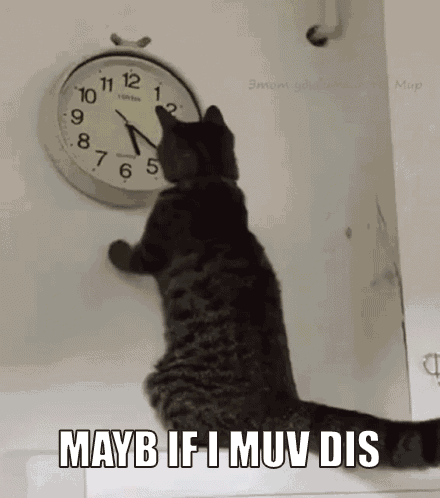 I Miss You Hooman GIF