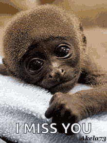 I Miss You GIF