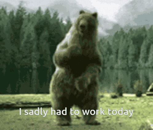 I Sadly Had To Work Today GIF