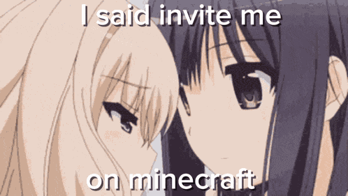 I Said Invite Me On Minecraft GIF