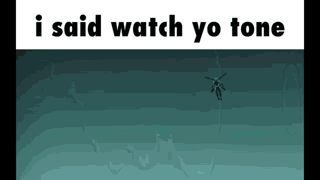 I Said Watch Your Tone I Said Watch Yo Tone GIF