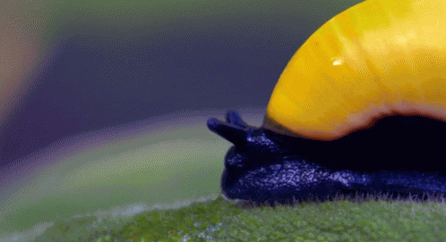 I See You GIF