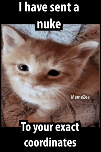 I Sent A Nuke To Your Exact Coordinates Meme