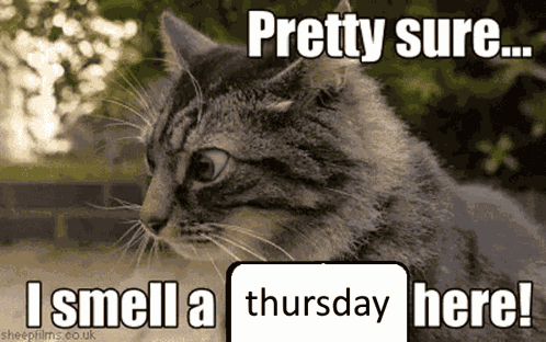 I Smell A Thursday I Smell A Monday Here GIF