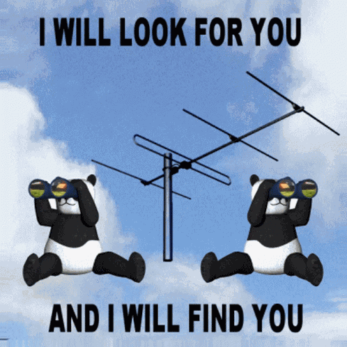 I Will Look For You I Will Find You GIF
