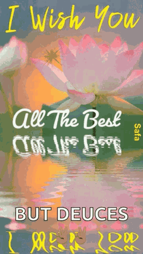 I Wish You All The Best Flowers GIF