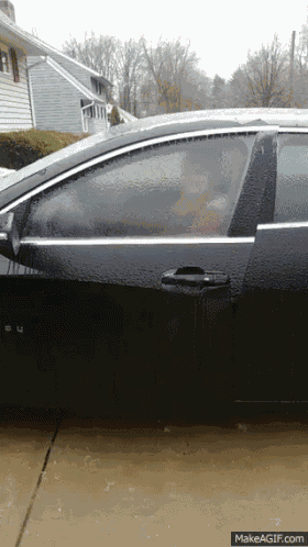 Ice Heres GIF