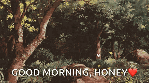Idk Forest GIF