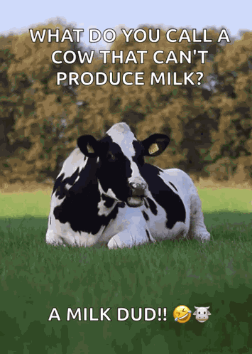 Idontcare Cow GIF