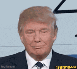 Ifunny Trump GIF