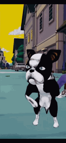 Iggy Jojo'S Bizarre Adventure GIF