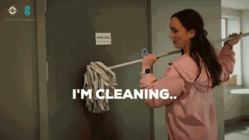 Im Cleaning Diona Doherty GIF
