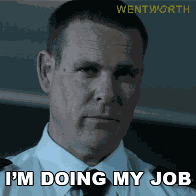 Im Doing My Job Fletch GIF
