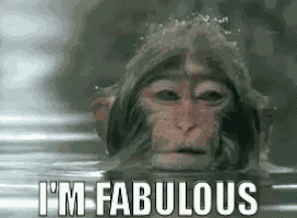 Im Fabulous Monkey GIF