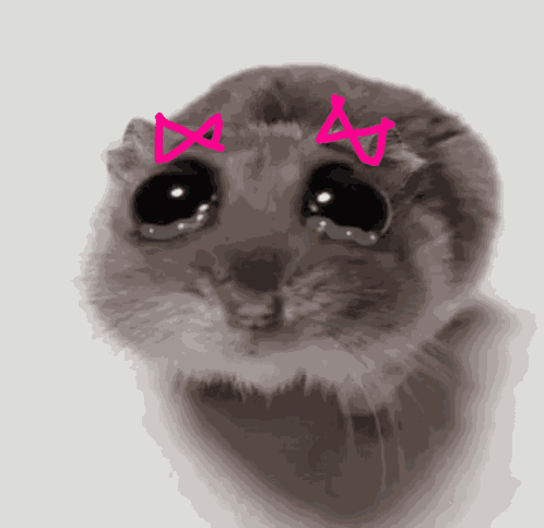 I'M Just A Girl Sad Hamster GIF