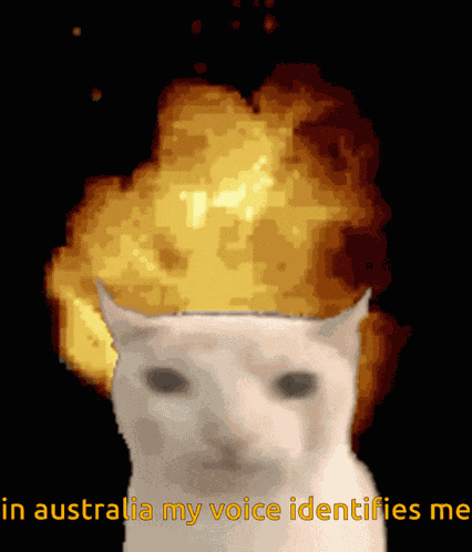 In Australia My Voice Identifies Me GIF