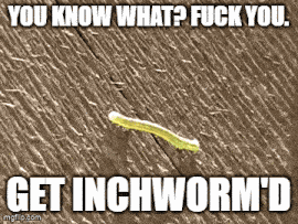 Inch Wormed GIF