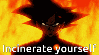 Incinerate Yourself Goku Black Zamasu GIF