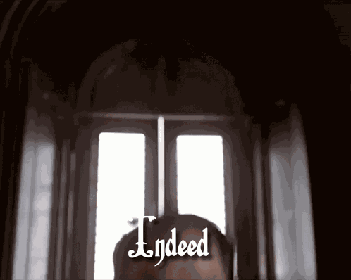 Indeed Yes Indeed GIF