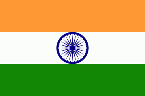 India Spindia GIF