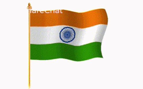 Indian Flag Flag Waving GIF