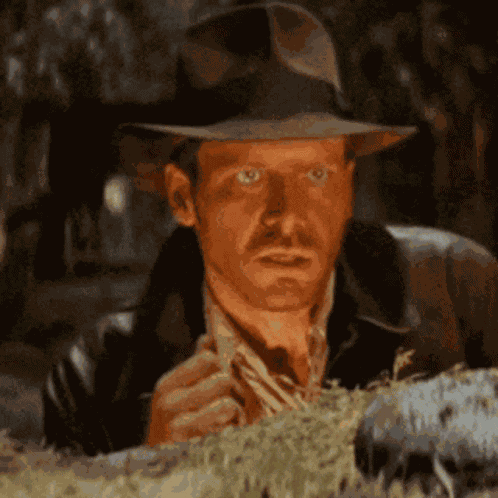 Indiana Jones Unsure GIF