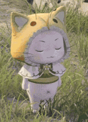 Infinity Nikki Bee Momo GIF