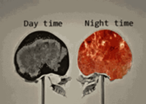Insomnio Tengo GIF