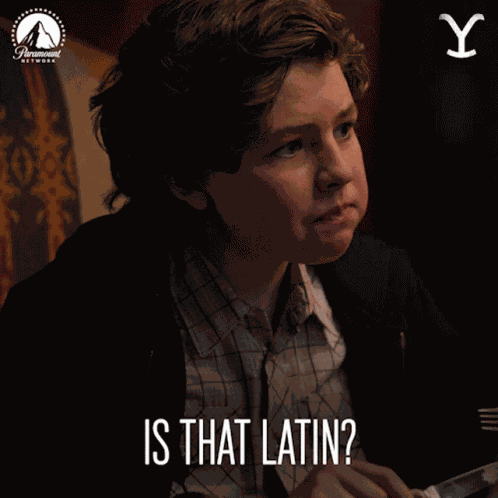 Is That Latin Carter GIF