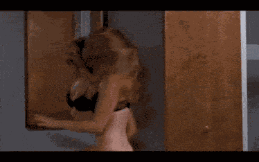 Isla Fisher Wedding Daze GIF