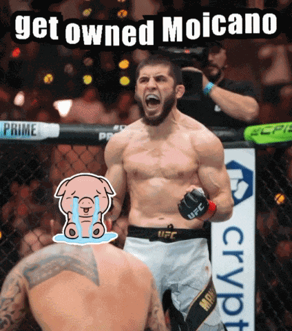 Islam Makhachev Ufc GIF