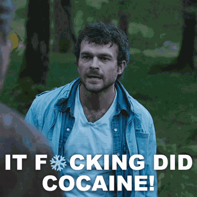 It Fcking Did Cocaine Cocaine Bear GIF