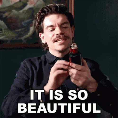 It Is So Beautiful Robin James GIF