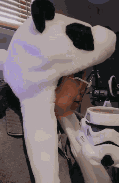 Its A Trap Its Not A Trap GIF