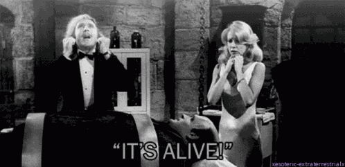 Its Alive Young Frankenstein GIF
