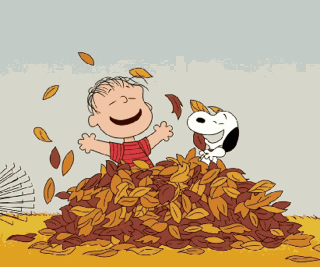 Its Fall Fall Leaves GIF