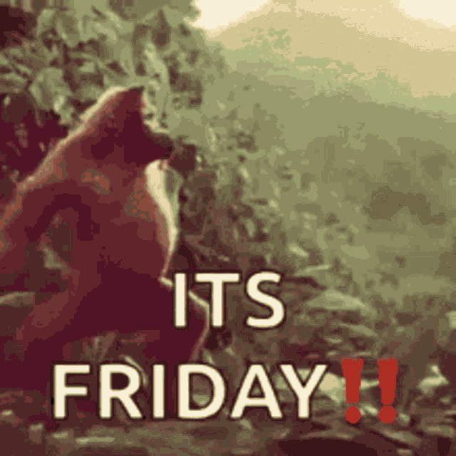 Its Friday Tgif GIF