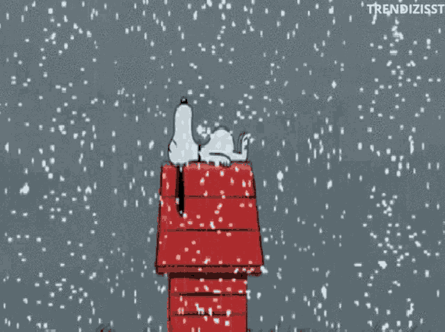 Its Snowing GIF