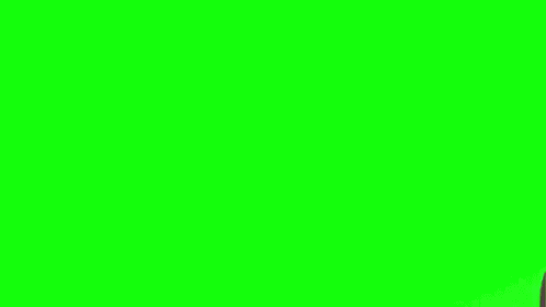Its Time To Stop GIF