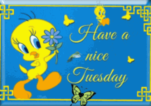 Its Tuesday Good Morning Tuesday GIF