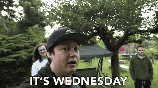 Its Wednesday Hump Day GIF
