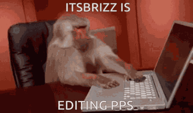 Itsbrizz Pps GIF