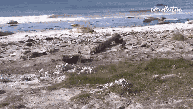 Ive Made A Huge Mistake Where Am I GIF