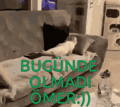 Izmir35 GIF