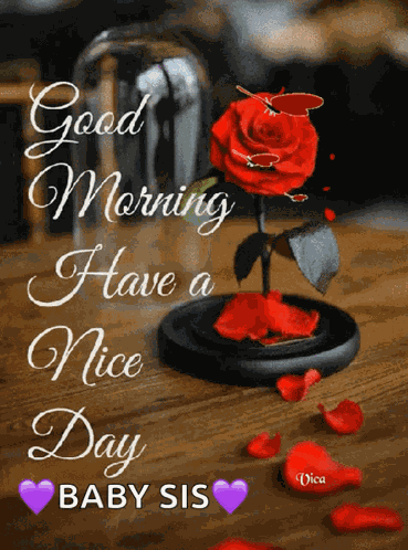 Jóreggelt Good Morning GIF