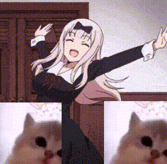 Jam Cat GIF