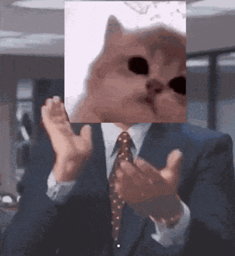 Jam Jamcat GIF