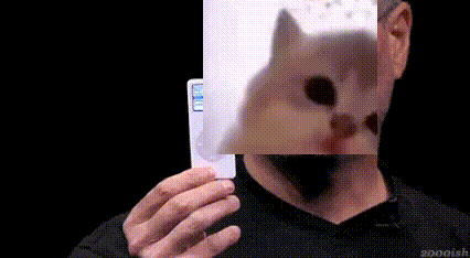 Jamcat Catjam GIF